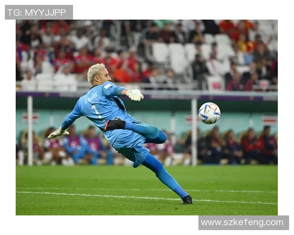 世界杯足球明星全记录 精彩图集带你领略球场风采与荣耀时刻