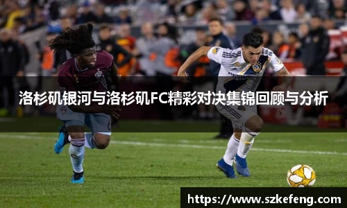 中欧体育网址